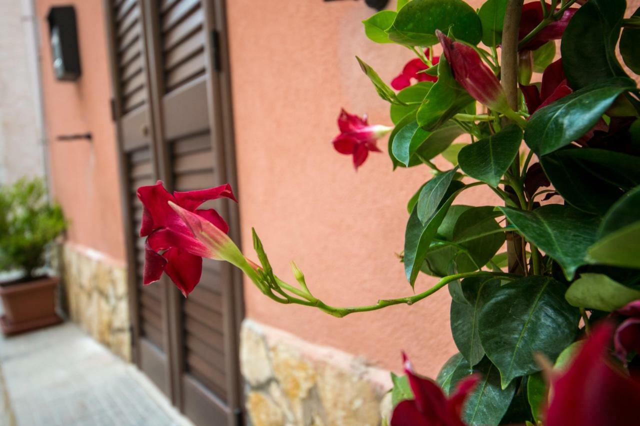 'A Cumerdia - Casa Vacanze Castellammare del Golfo Zewnętrze zdjęcie